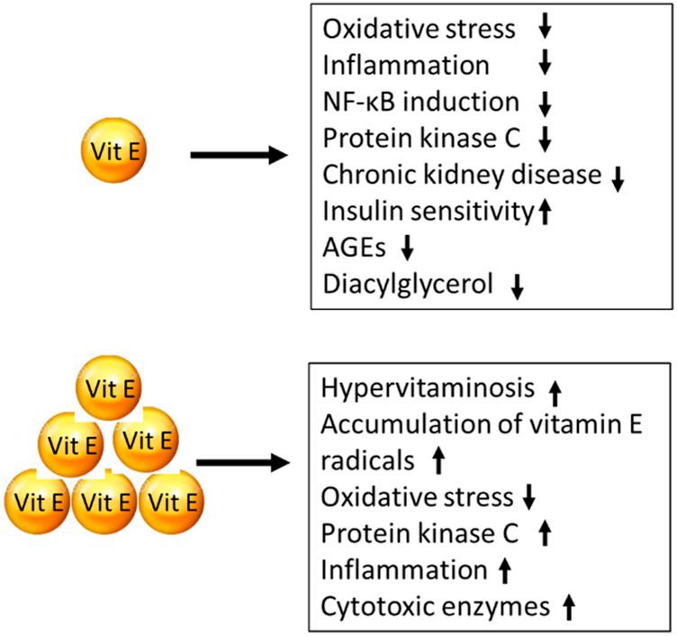 https://cdn.ncbi.nlm.nih.gov/pmc/blobs/ca11/10050743/2bfa4b41ef23/fphys-14-1145216-g006.jpg