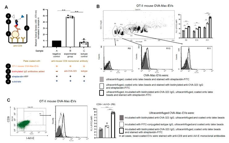https://cdn.ncbi.nlm.nih.gov/pmc/blobs/ca28/8398949/dab5964d4c68/pharmaceuticals-14-00734-g005.jpg