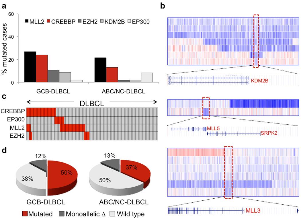 https://cdn.ncbi.nlm.nih.gov/pmc/blobs/ca35/3297422/301ced8ee318/nihms308546f6.jpg