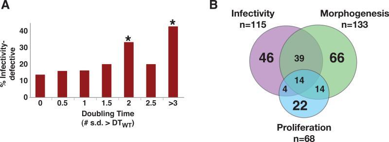 https://cdn.ncbi.nlm.nih.gov/pmc/blobs/ca38/2893244/628fdcbd1950/nihms-205242-f0004.jpg