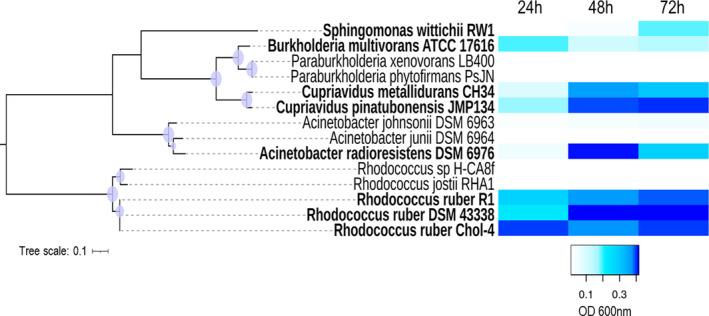 https://cdn.ncbi.nlm.nih.gov/pmc/blobs/ca3a/8449657/f68ef2bd3a68/MBT2-14-1944-g004.jpg