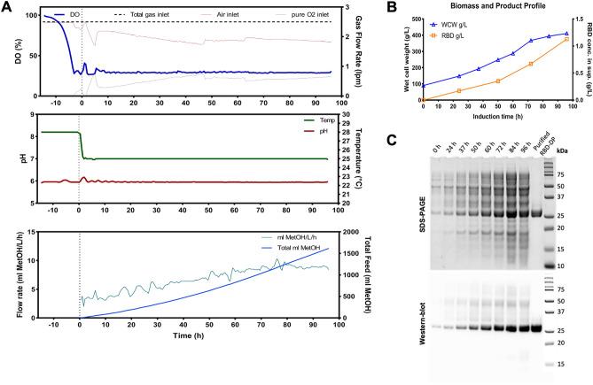 https://cdn.ncbi.nlm.nih.gov/pmc/blobs/ca47/10063531/cdca11d919b7/41598_2023_32021_Fig1_HTML.jpg