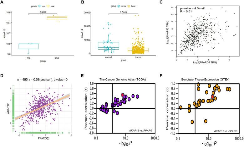 https://cdn.ncbi.nlm.nih.gov/pmc/blobs/ca48/8141057/36ac41dc8d19/41419_2021_3820_Fig5_HTML.jpg
