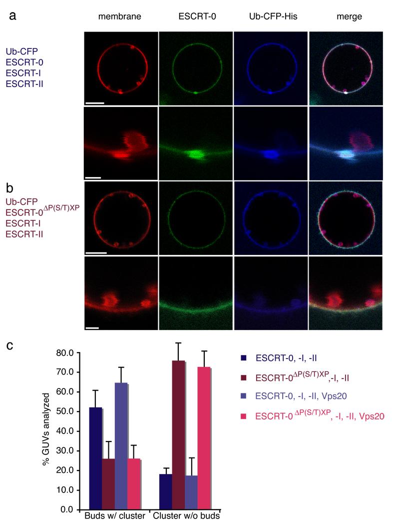 https://cdn.ncbi.nlm.nih.gov/pmc/blobs/ca50/2851844/591c1c6cd4c3/nihms172756f4.jpg