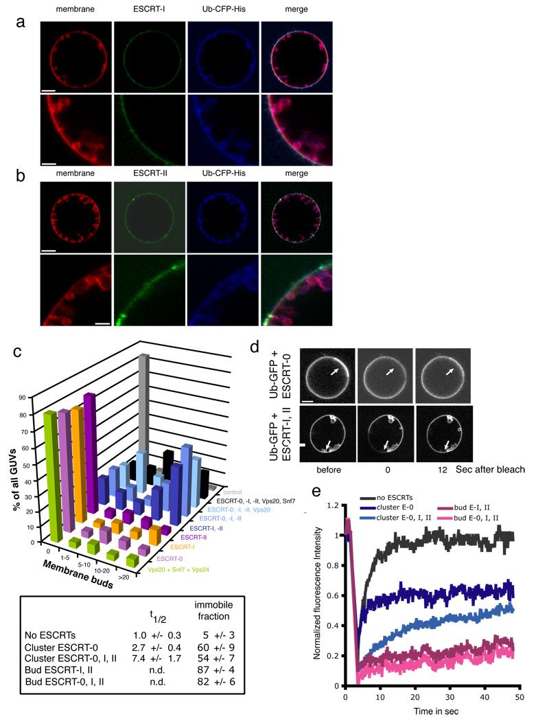 https://cdn.ncbi.nlm.nih.gov/pmc/blobs/ca50/2851844/be3a74cd207a/nihms172756f2.jpg