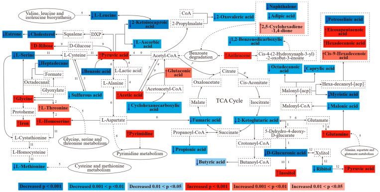 https://cdn.ncbi.nlm.nih.gov/pmc/blobs/ca6a/11509468/3679adc2fa93/metabolites-14-00539-g008.jpg