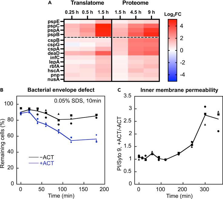 https://cdn.ncbi.nlm.nih.gov/pmc/blobs/ca70/9356101/fccb4f6bb520/gr5.jpg