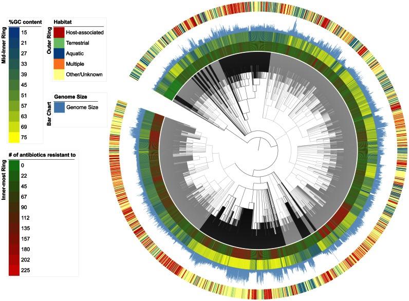 https://cdn.ncbi.nlm.nih.gov/pmc/blobs/ca77/5210662/da7d0f29e312/gkw989fig3.jpg