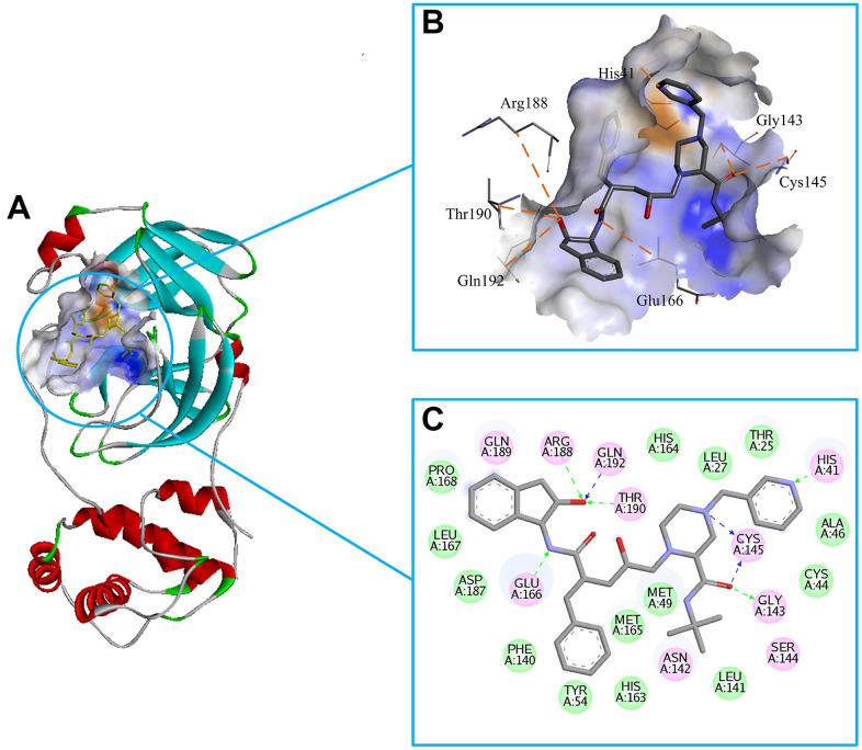https://cdn.ncbi.nlm.nih.gov/pmc/blobs/ca82/7993695/7ecda556abb6/aging-13-202703-g002.jpg