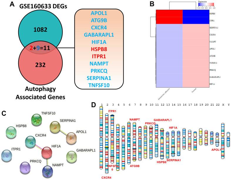 https://cdn.ncbi.nlm.nih.gov/pmc/blobs/ca83/10497020/9fcea547bd23/aging-15-204969-g001.jpg