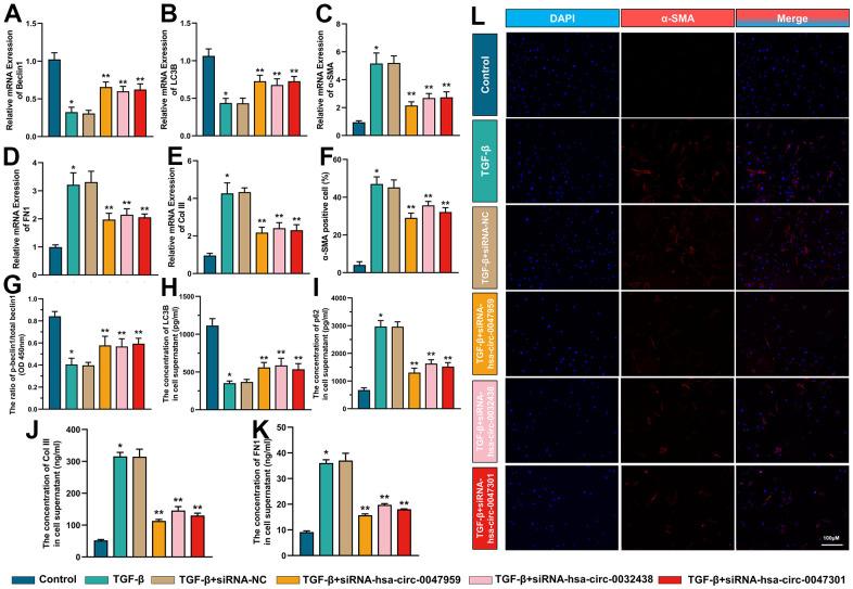 https://cdn.ncbi.nlm.nih.gov/pmc/blobs/ca83/10497020/c5a776be45e4/aging-15-204969-g010.jpg