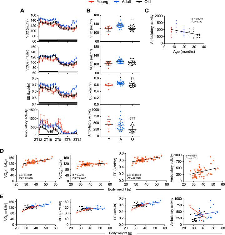 https://cdn.ncbi.nlm.nih.gov/pmc/blobs/caa8/8099423/0badfc725545/elife-62952-fig2-figsupp1.jpg