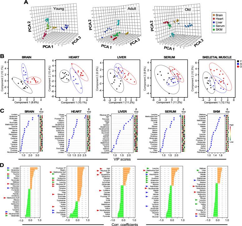 https://cdn.ncbi.nlm.nih.gov/pmc/blobs/caa8/8099423/23e0bb587fef/elife-62952-fig4.jpg