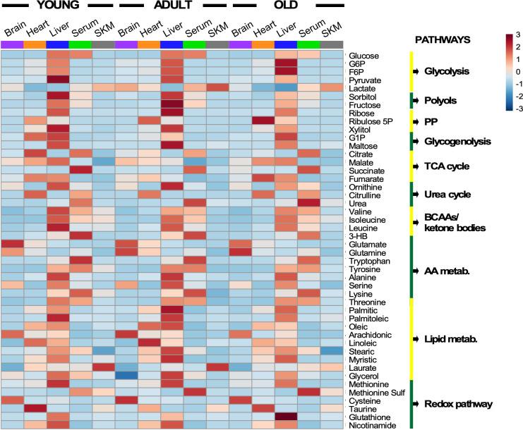 https://cdn.ncbi.nlm.nih.gov/pmc/blobs/caa8/8099423/ae3442246015/elife-62952-fig3.jpg