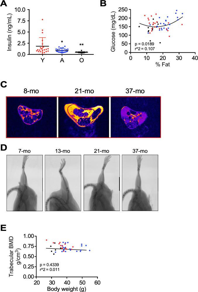 https://cdn.ncbi.nlm.nih.gov/pmc/blobs/caa8/8099423/c188169add93/elife-62952-fig1-figsupp1.jpg