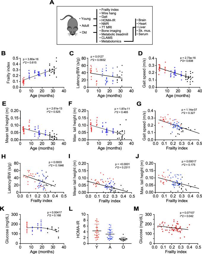 https://cdn.ncbi.nlm.nih.gov/pmc/blobs/caa8/8099423/ecc2f8847602/elife-62952-fig1.jpg