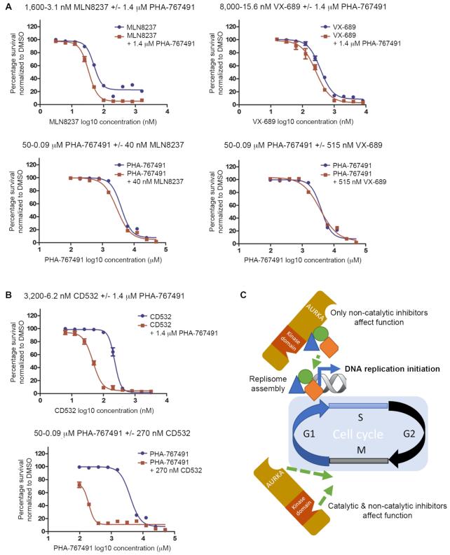 https://cdn.ncbi.nlm.nih.gov/pmc/blobs/caba/7430631/2db47b7178fc/gkaa570fig5.jpg