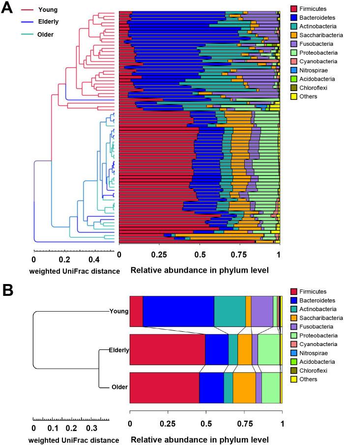 https://cdn.ncbi.nlm.nih.gov/pmc/blobs/cacd/11448084/bd16bb5516da/spectrum.00216-24.f002.jpg
