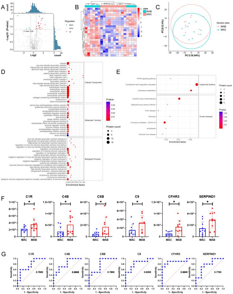 https://cdn.ncbi.nlm.nih.gov/pmc/blobs/cb00/10535683/da068db56c06/microorganisms-11-02334-g005.jpg