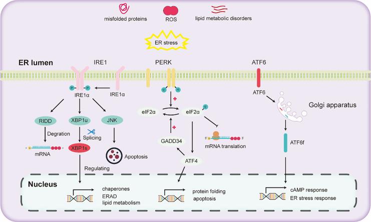 https://cdn.ncbi.nlm.nih.gov/pmc/blobs/cb15/10655704/dbcf689ea877/peerj-11-16398-g002.jpg