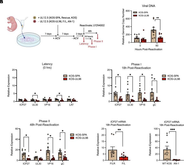 https://cdn.ncbi.nlm.nih.gov/pmc/blobs/cb16/11789124/447699a8a513/pnas.2413965122fig02.jpg