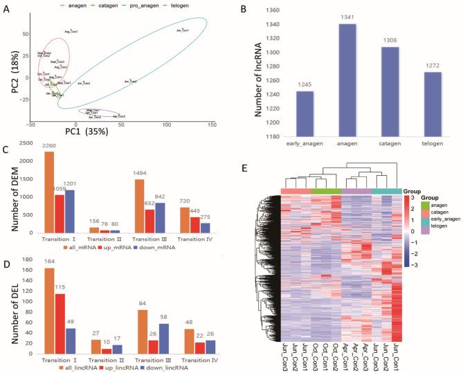 https://cdn.ncbi.nlm.nih.gov/pmc/blobs/cb20/12080124/85ca43efe515/12864_2025_11675_Fig2_HTML.jpg