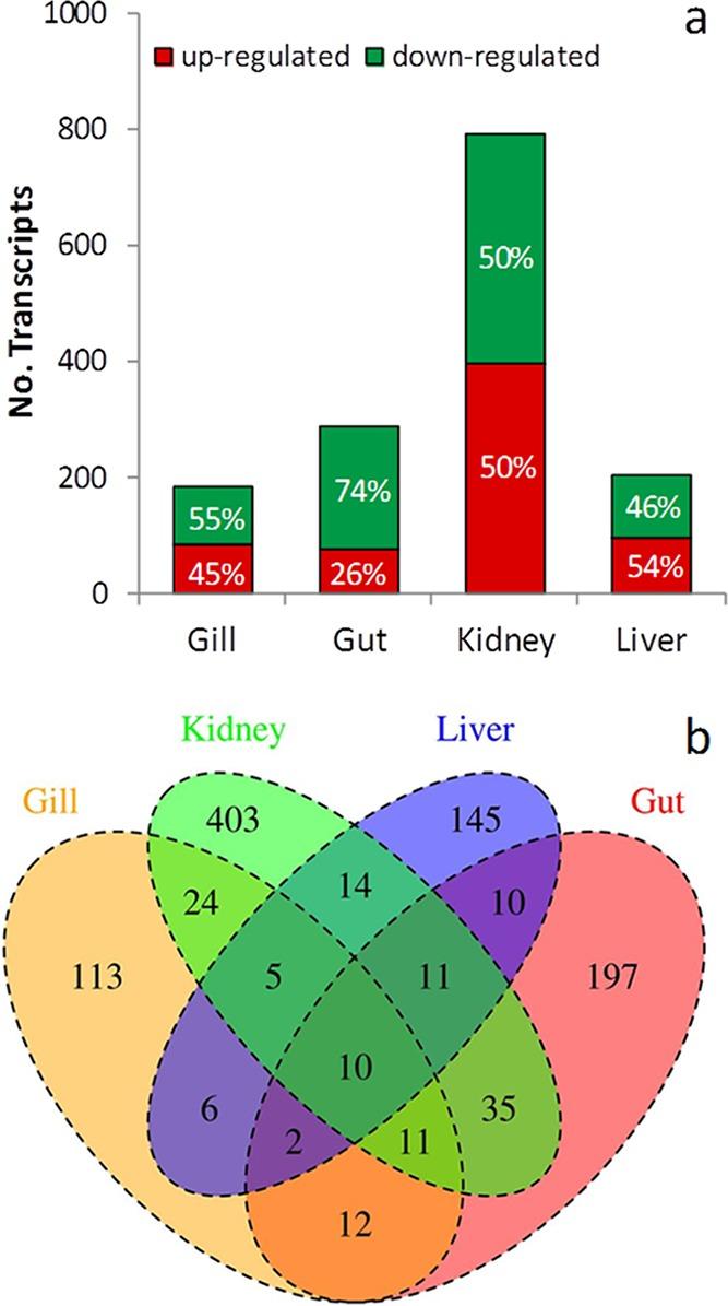https://cdn.ncbi.nlm.nih.gov/pmc/blobs/cb22/3737601/a9b35bf53650/es-2013-01380p_0004.jpg
