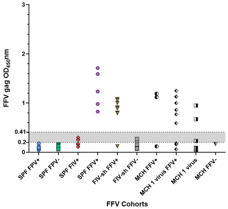 https://cdn.ncbi.nlm.nih.gov/pmc/blobs/cb2a/8226436/89e915ba5707/pathogens-10-00665-g002.jpg