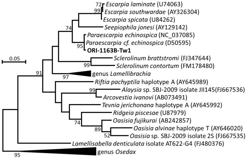 https://cdn.ncbi.nlm.nih.gov/pmc/blobs/cb4c/11676240/9608c0643a3d/microorganisms-12-02452-g002.jpg