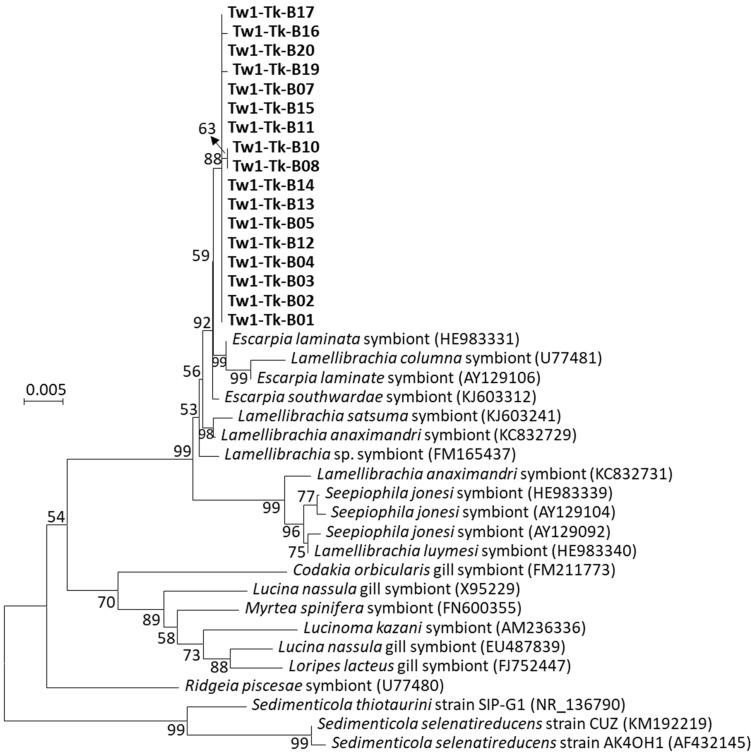 https://cdn.ncbi.nlm.nih.gov/pmc/blobs/cb4c/11676240/ad1ab2bbc7e4/microorganisms-12-02452-g003.jpg