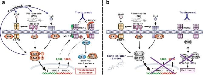 https://cdn.ncbi.nlm.nih.gov/pmc/blobs/cb5d/4226685/162ada8b5949/oncotarget-05-8317-g007.jpg
