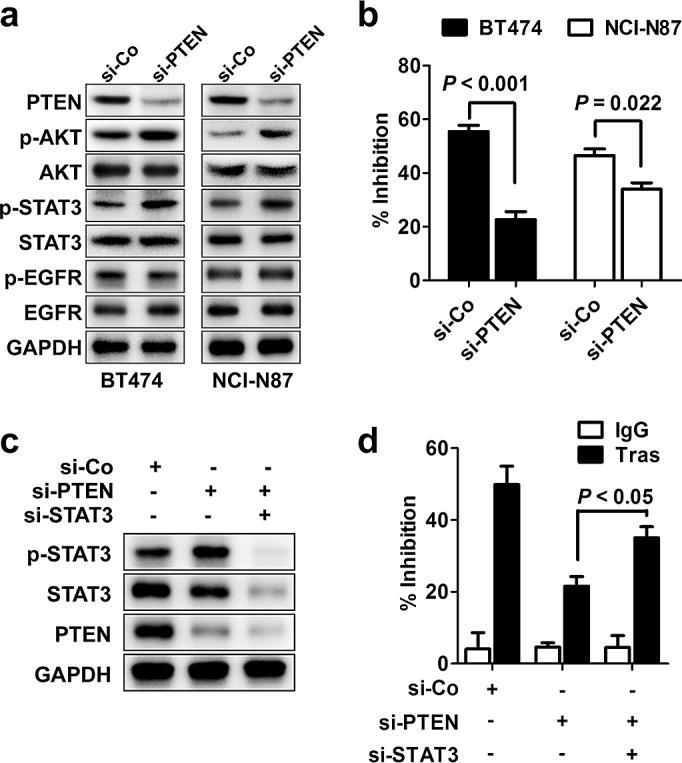 https://cdn.ncbi.nlm.nih.gov/pmc/blobs/cb5d/4226685/5bf16a853ae4/oncotarget-05-8317-g002.jpg
