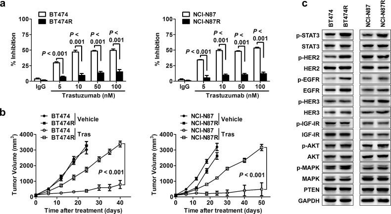 https://cdn.ncbi.nlm.nih.gov/pmc/blobs/cb5d/4226685/de6d21f51877/oncotarget-05-8317-g001.jpg