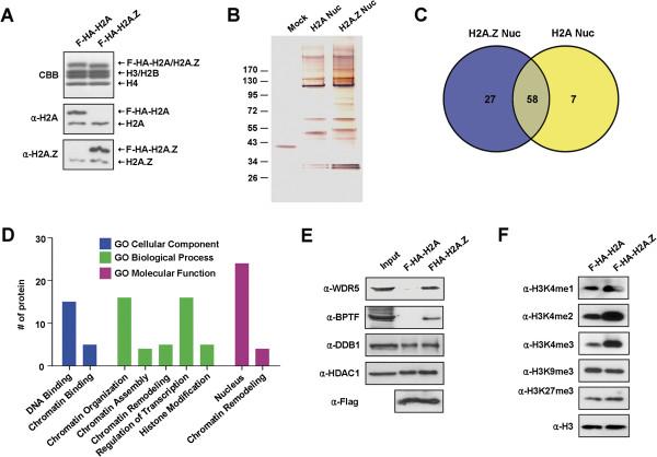 https://cdn.ncbi.nlm.nih.gov/pmc/blobs/cb73/3853418/2561b4080dc9/1756-8935-6-34-4.jpg