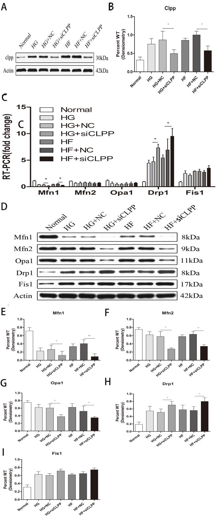 https://cdn.ncbi.nlm.nih.gov/pmc/blobs/cb98/6611452/0b81a4820848/peerj-07-7209-g003.jpg
