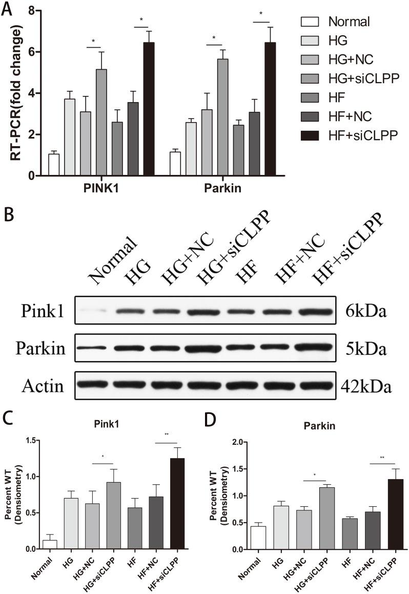 https://cdn.ncbi.nlm.nih.gov/pmc/blobs/cb98/6611452/2aa0e4673bdc/peerj-07-7209-g004.jpg