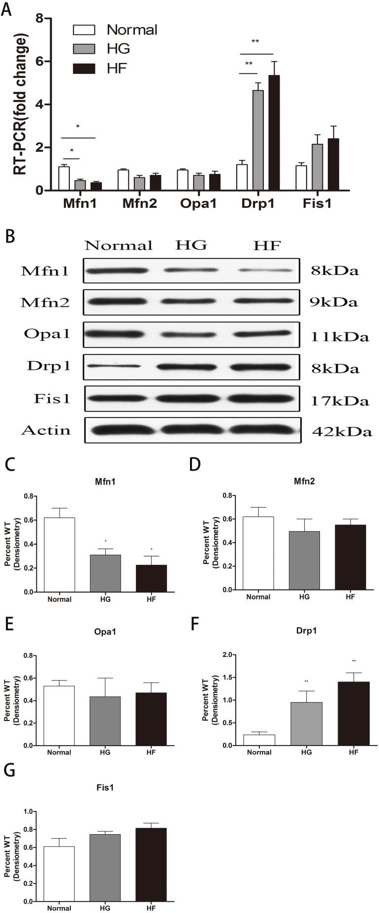 https://cdn.ncbi.nlm.nih.gov/pmc/blobs/cb98/6611452/a9908745ae79/peerj-07-7209-g002.jpg