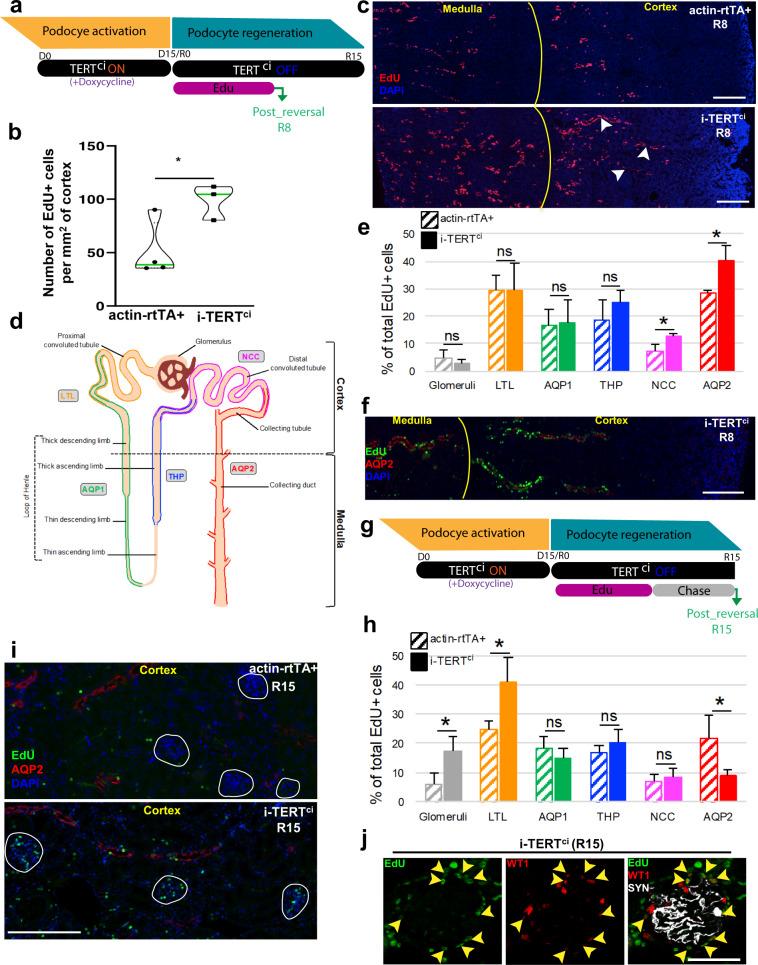 https://cdn.ncbi.nlm.nih.gov/pmc/blobs/cba4/8837629/c5aac78805e3/41536_2022_212_Fig4_HTML.jpg