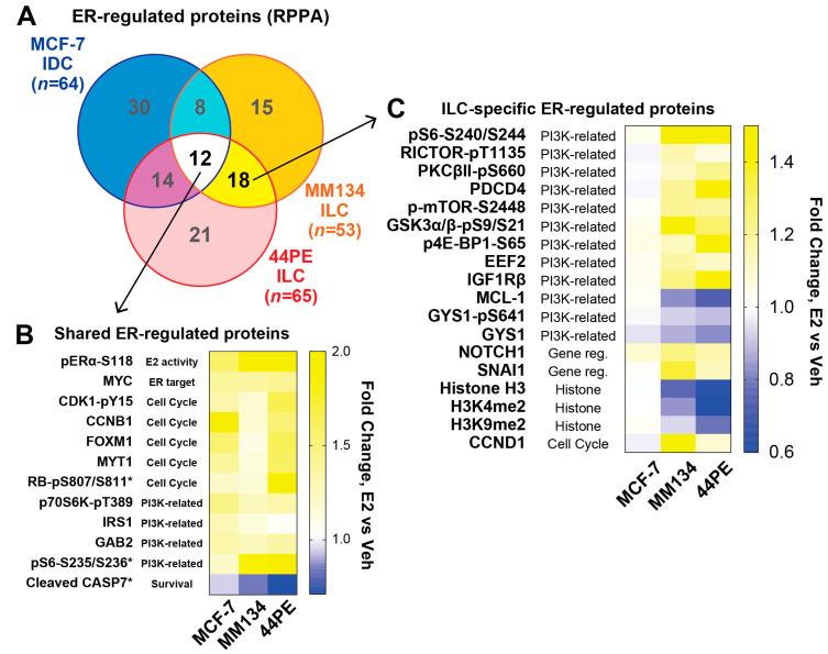 https://cdn.ncbi.nlm.nih.gov/pmc/blobs/cbae/7650584/3715e8b2dda1/cancers-12-02931-g001.jpg
