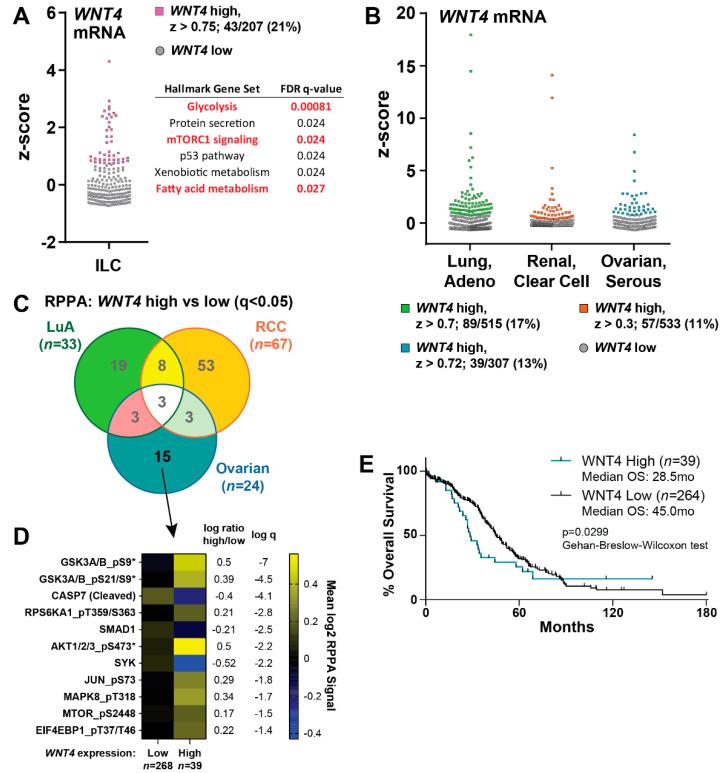 https://cdn.ncbi.nlm.nih.gov/pmc/blobs/cbae/7650584/991ede978949/cancers-12-02931-g006.jpg