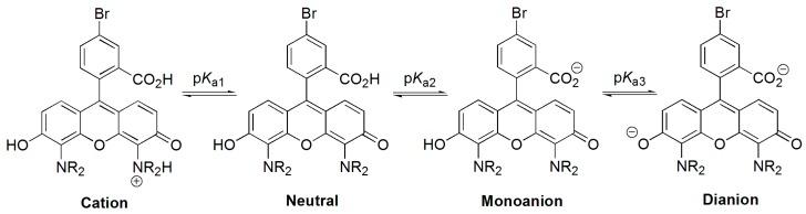 https://cdn.ncbi.nlm.nih.gov/pmc/blobs/cbb2/6017165/3cab67397828/molecules-23-00219-sch002.jpg