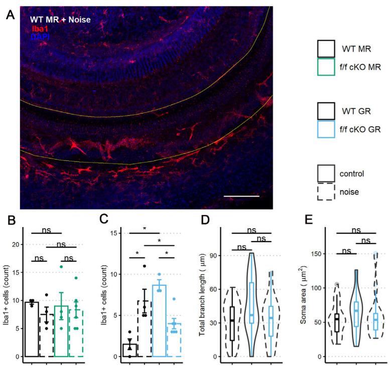 https://cdn.ncbi.nlm.nih.gov/pmc/blobs/cbcb/9961551/13a403ca4197/ijms-24-03320-g008.jpg