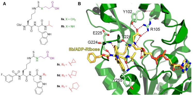 https://cdn.ncbi.nlm.nih.gov/pmc/blobs/cbd6/10047932/8f3744764fd4/cells-12-00852-g008.jpg