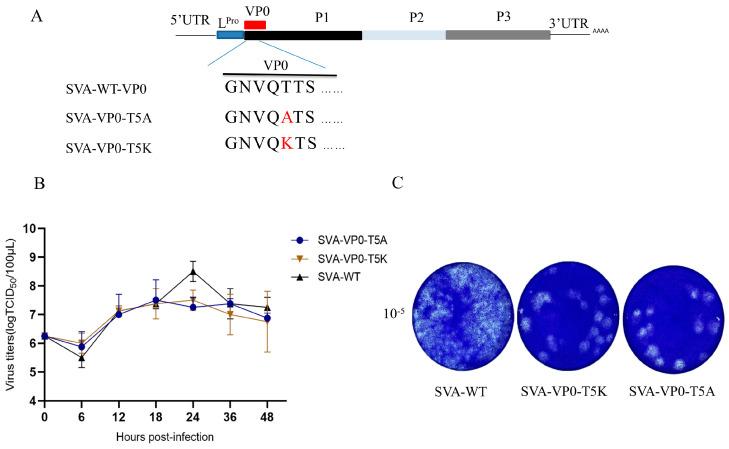 https://cdn.ncbi.nlm.nih.gov/pmc/blobs/cbdd/11280471/2e3278a06582/pathogens-13-00601-g005.jpg