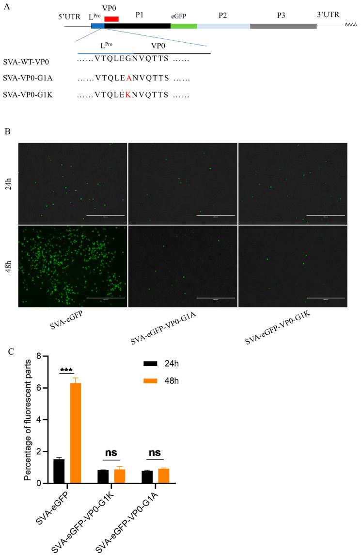 https://cdn.ncbi.nlm.nih.gov/pmc/blobs/cbdd/11280471/933c128f1237/pathogens-13-00601-g004.jpg