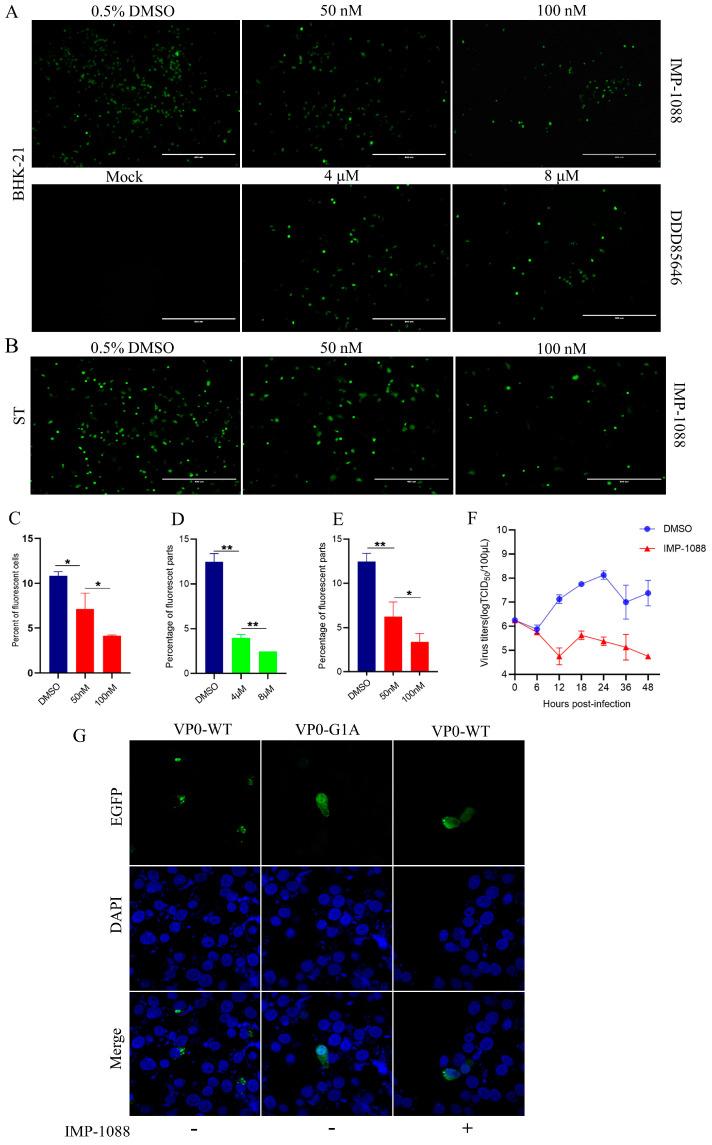 https://cdn.ncbi.nlm.nih.gov/pmc/blobs/cbdd/11280471/c4bbf2f7300f/pathogens-13-00601-g002.jpg