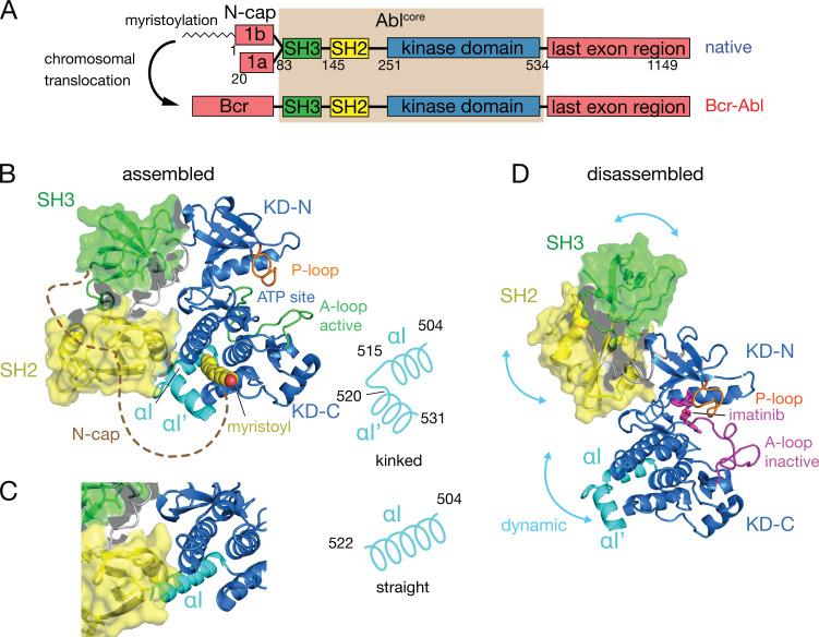 https://cdn.ncbi.nlm.nih.gov/pmc/blobs/cbe7/11001296/6325d21c92a0/elife-92324-fig1.jpg