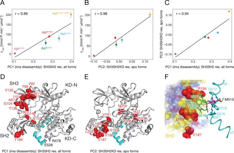 https://cdn.ncbi.nlm.nih.gov/pmc/blobs/cbe7/11001296/6d17e2f885e7/elife-92324-fig6.jpg