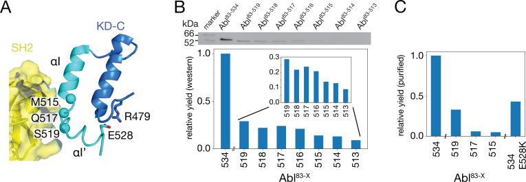 https://cdn.ncbi.nlm.nih.gov/pmc/blobs/cbe7/11001296/95213059b1bb/elife-92324-fig2.jpg