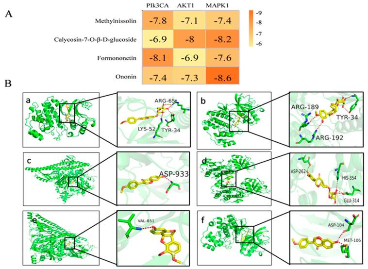 https://cdn.ncbi.nlm.nih.gov/pmc/blobs/cbea/10745890/1e08b950f092/molecules-28-08030-g005.jpg